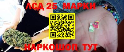 спиды Гатчина
