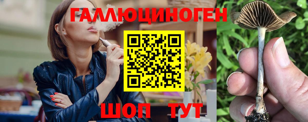 Можайск  Псилоцибиновые грибы MAGIC MUSHROOMS  Вход с VPN 